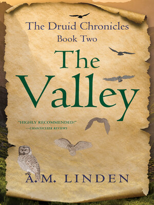 cover image of The Valley